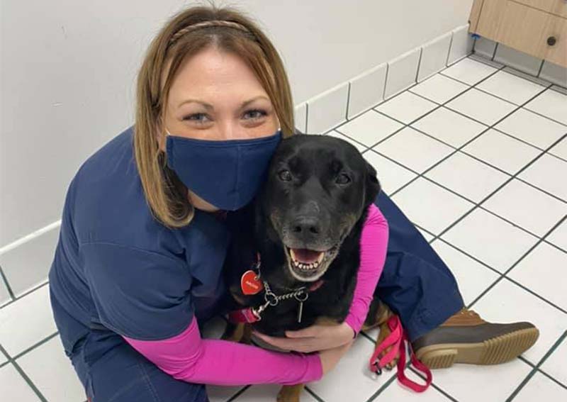 Dog Veterinary Care, Ashburn